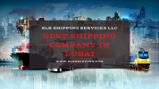 SLR Shipping services llc (1).png