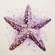 Starfish1